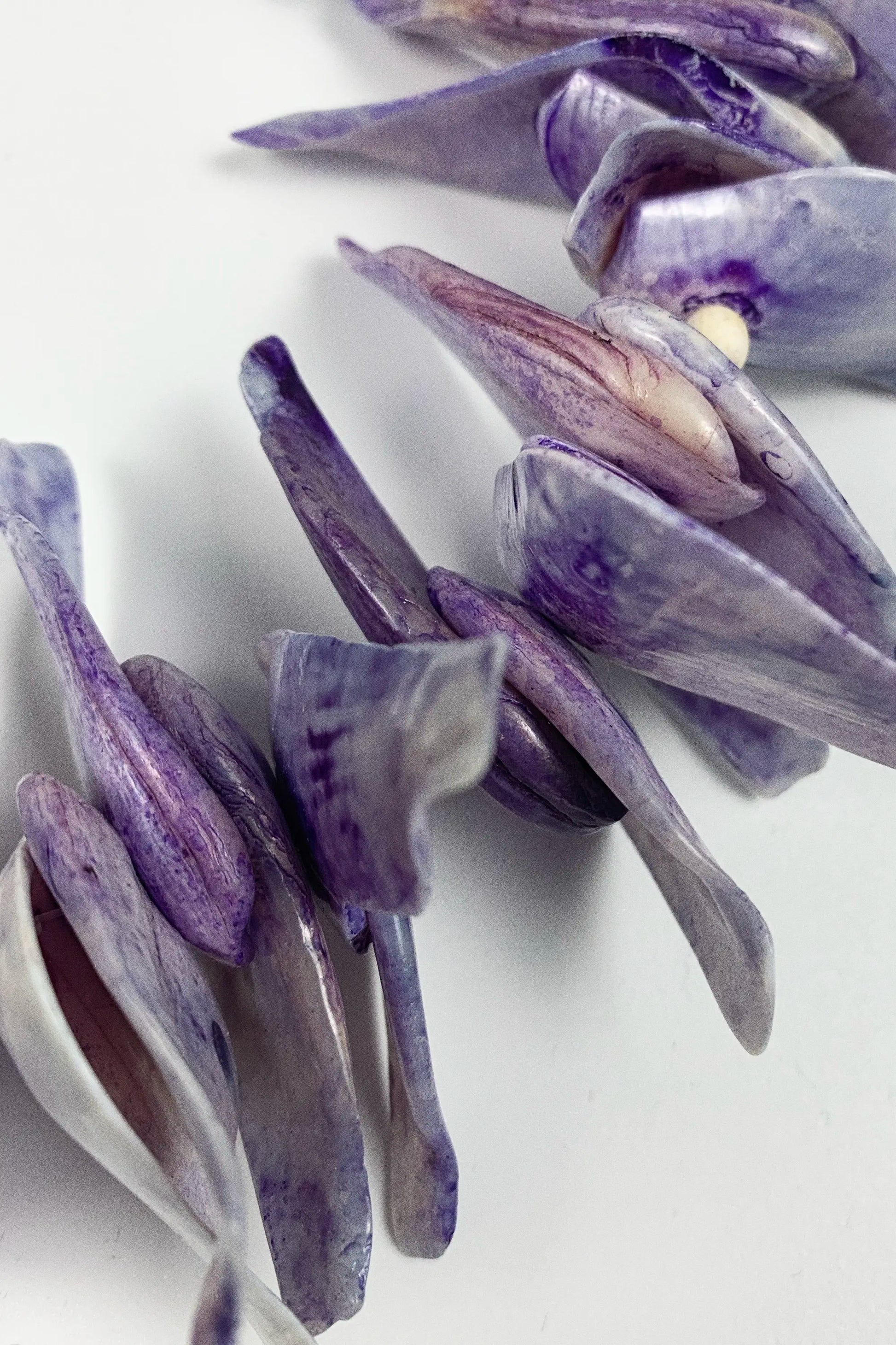 Purple and lavender seashell beads with natural ridges, arranged on a clean white background.