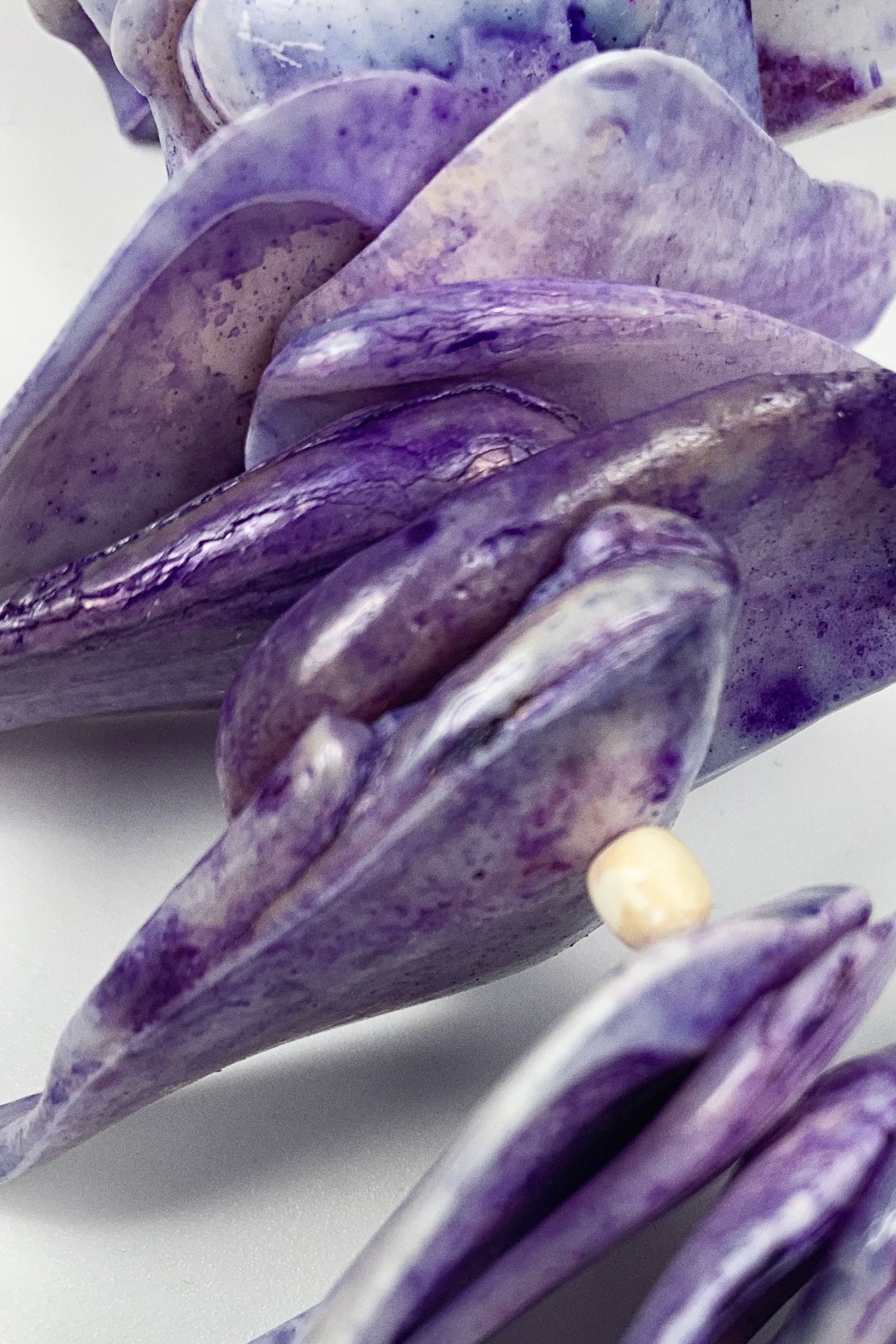 A close-up of purple and white marbled shell-like pieces arranged together, with a small cream bead visible in the center against a light neutral background.
